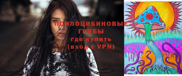 сатива Наволоки