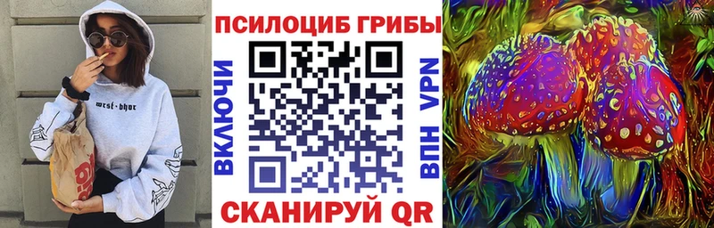 Галлюциногенные грибы Magic Shrooms  Купить закладки  Тулун 